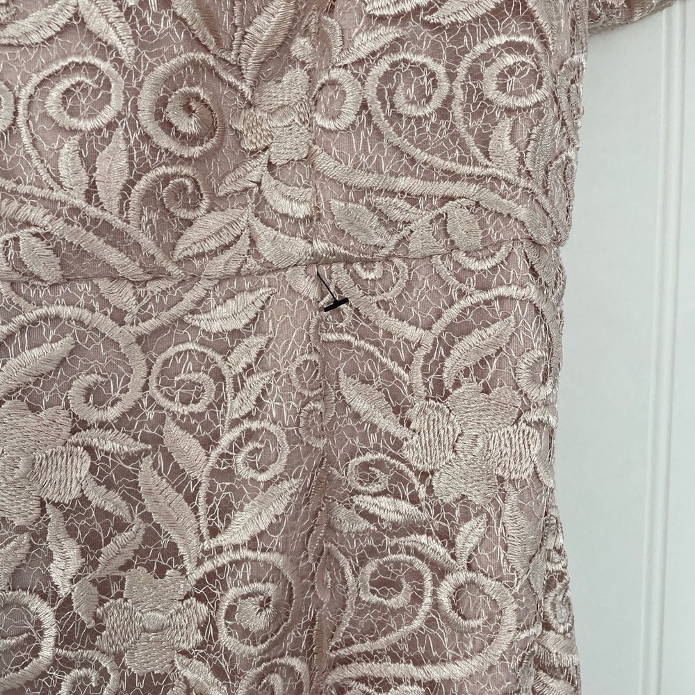 JS COLLECTIONS RIVER PUFF SLEEVE COLUMN GOWN NEW Size 4 Blush - Picture 7 of 15